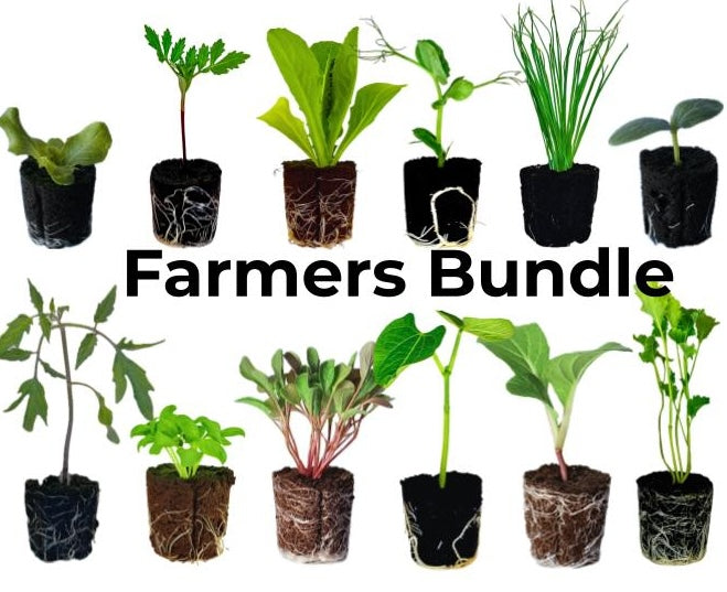 Olle Garden Seedlings  - Farmers Bundle (Spring)