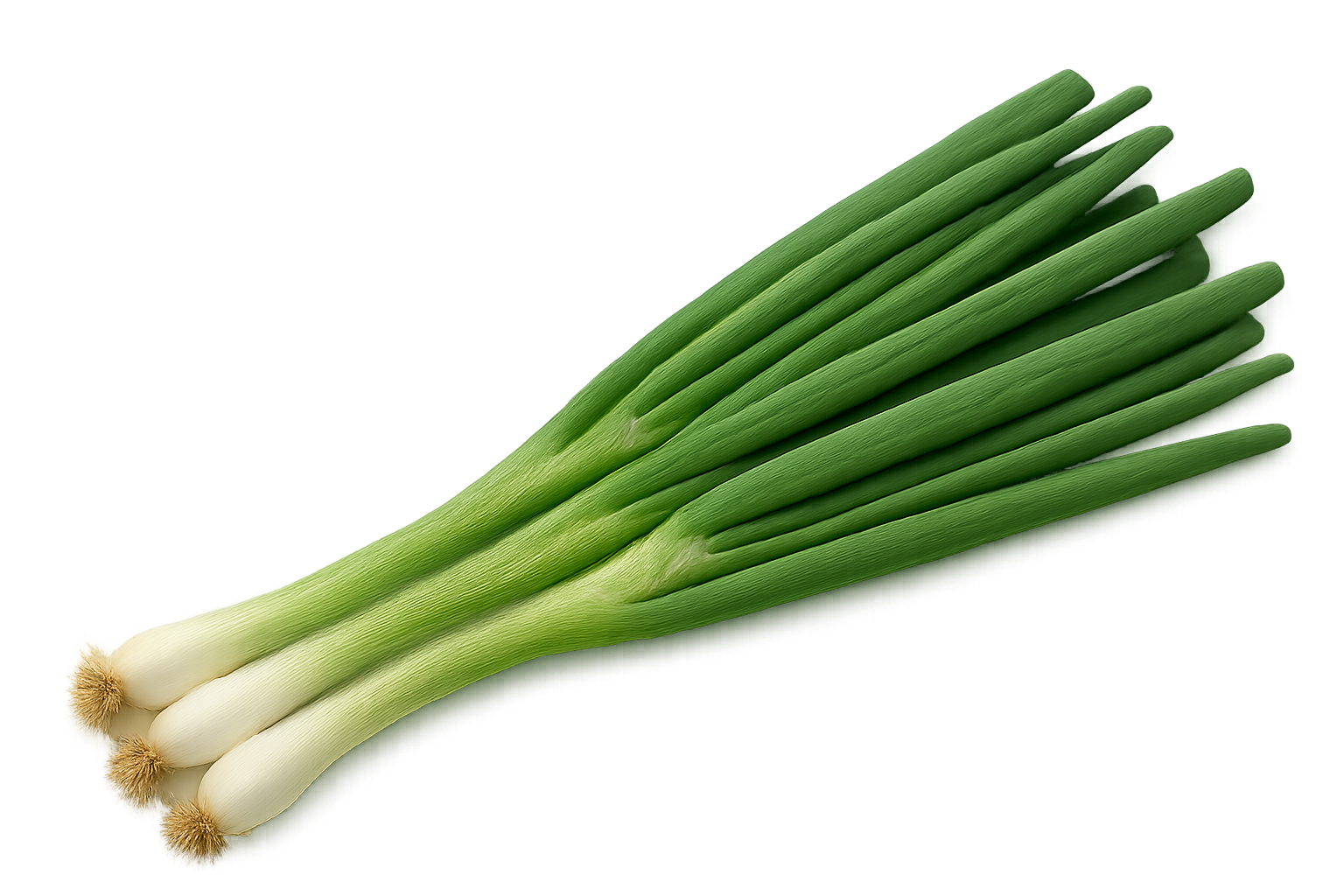 Olle Gardens Seedlings Herb Bundle