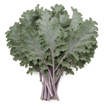 Load image into Gallery viewer, Olle Gardens Greens Bundle
