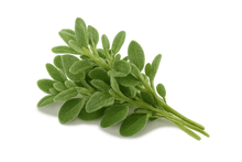 Load image into Gallery viewer, Olle Gardens Seedlings Herb Bundle
