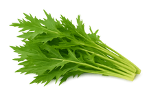 Load image into Gallery viewer, Olle Gardens Greens Bundle
