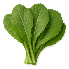 Load image into Gallery viewer, Olle Gardens Greens Bundle
