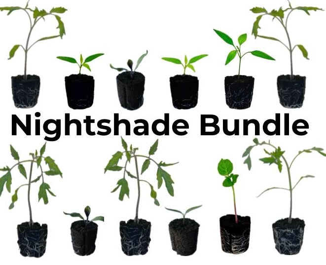 Olle Garden Seedlings - Nightshade Bundle (Spring)