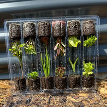 Load image into Gallery viewer, Olle Gardens qty. 2 |  17&quot; 12-in-1 and Olle Seedlings Farmers Bundle
