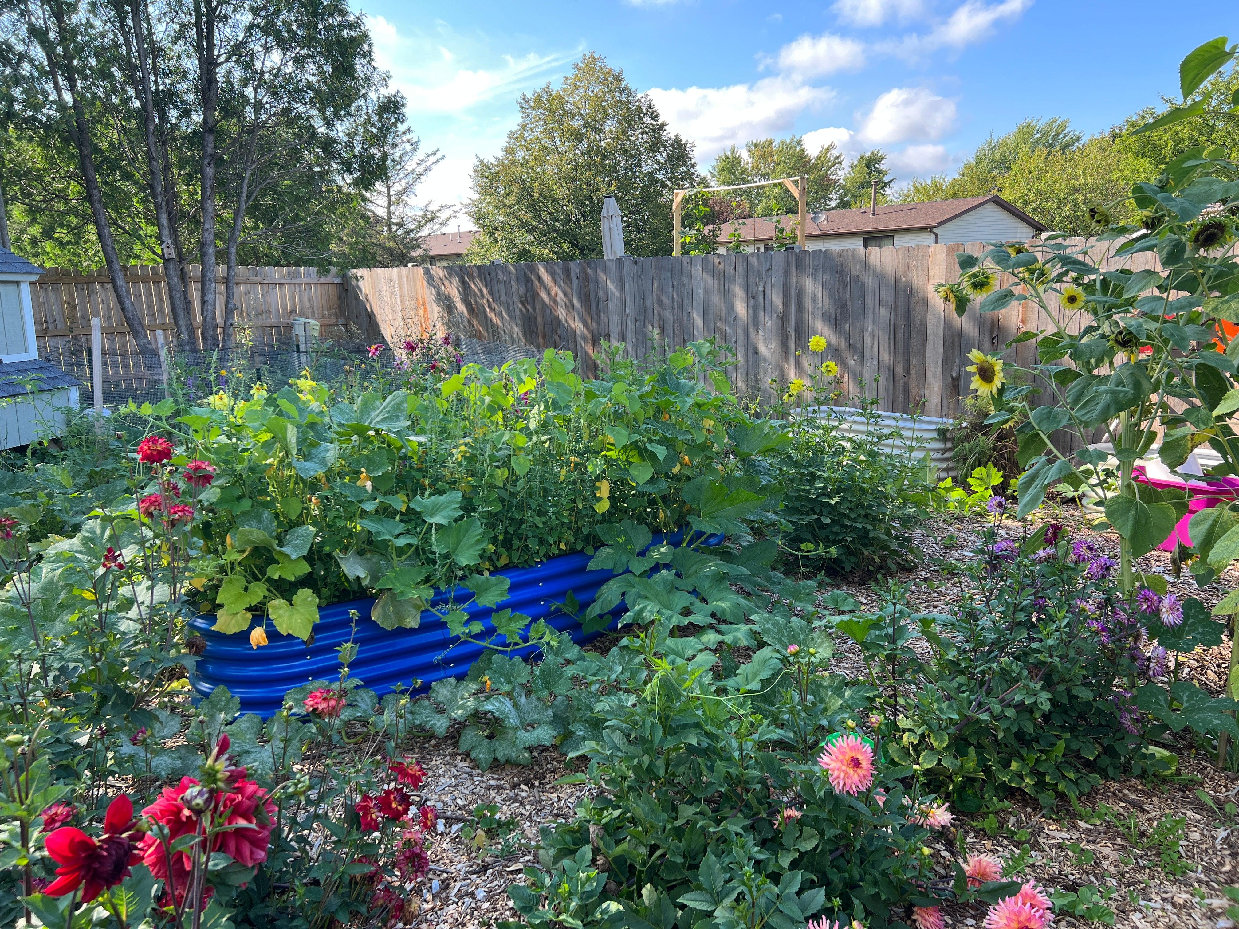 17'' Tall Olle Gardens 12-in-1 Raised Bed, in Cobalt Blue