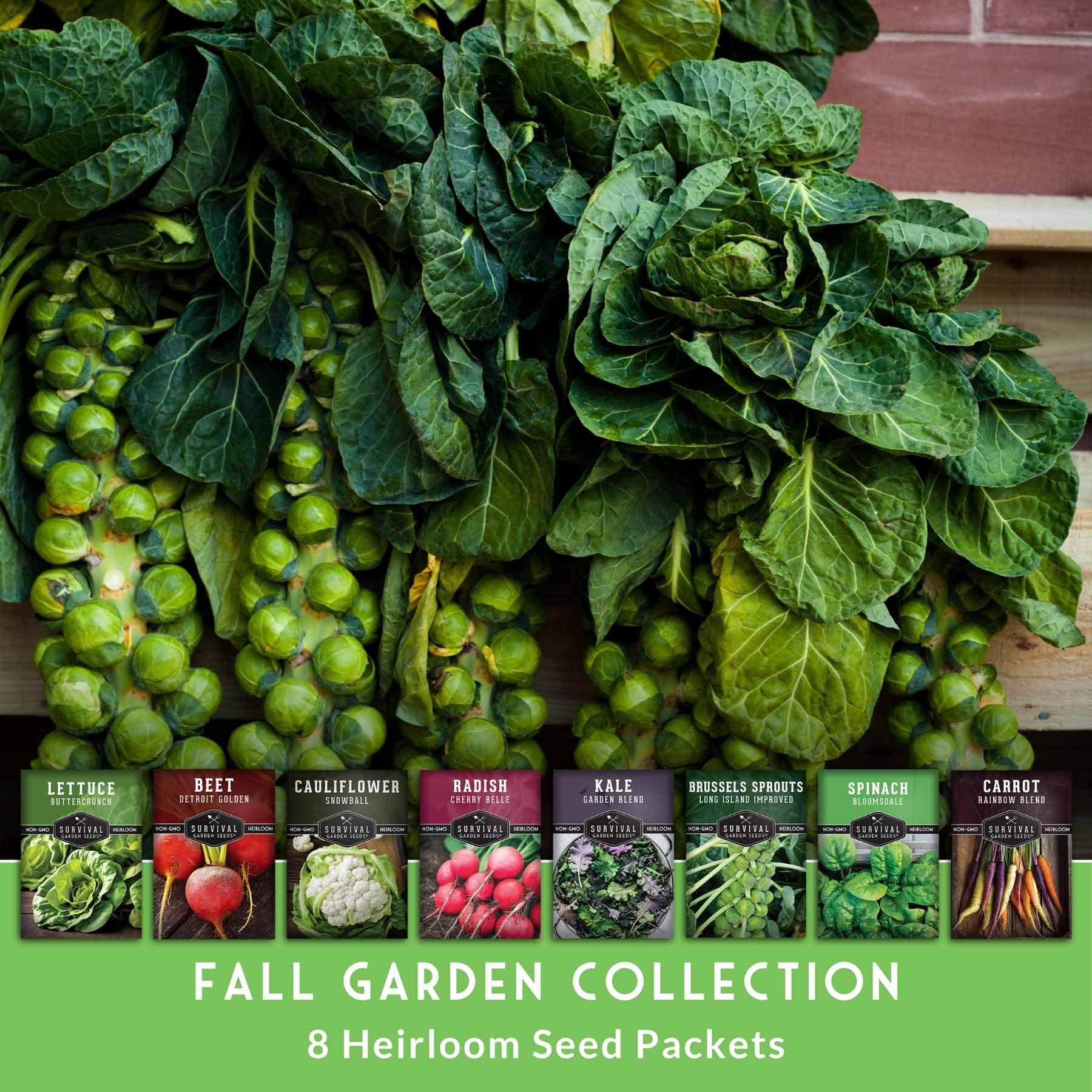 Fall Vegetable Seed Collection – 8 Heirloom Non-GMO Varieties for Cool-Weather Gardening, Indoor Growing & Year-Round Harvests