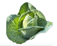 Load image into Gallery viewer, Olle Garden Seedlings - Veggie Mix (Spring)
