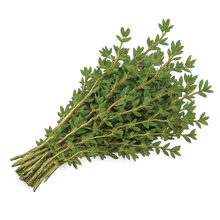 Load image into Gallery viewer, Olle Gardens Seedlings Herb Bundle
