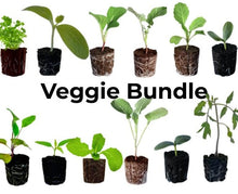 Load image into Gallery viewer, Olle Garden Seedlings - Veggie Mix (Spring)
