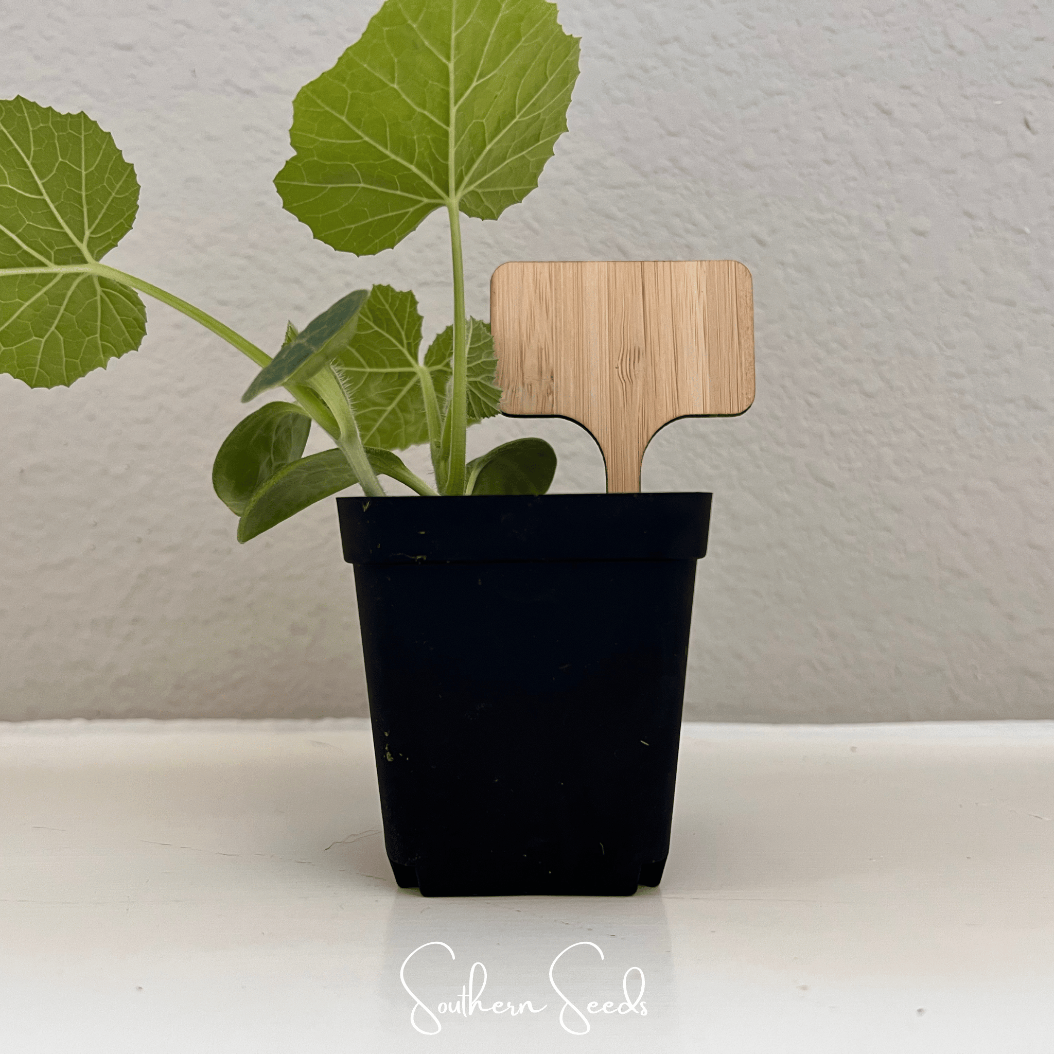 Bamboo Plant Markers – 5 Count