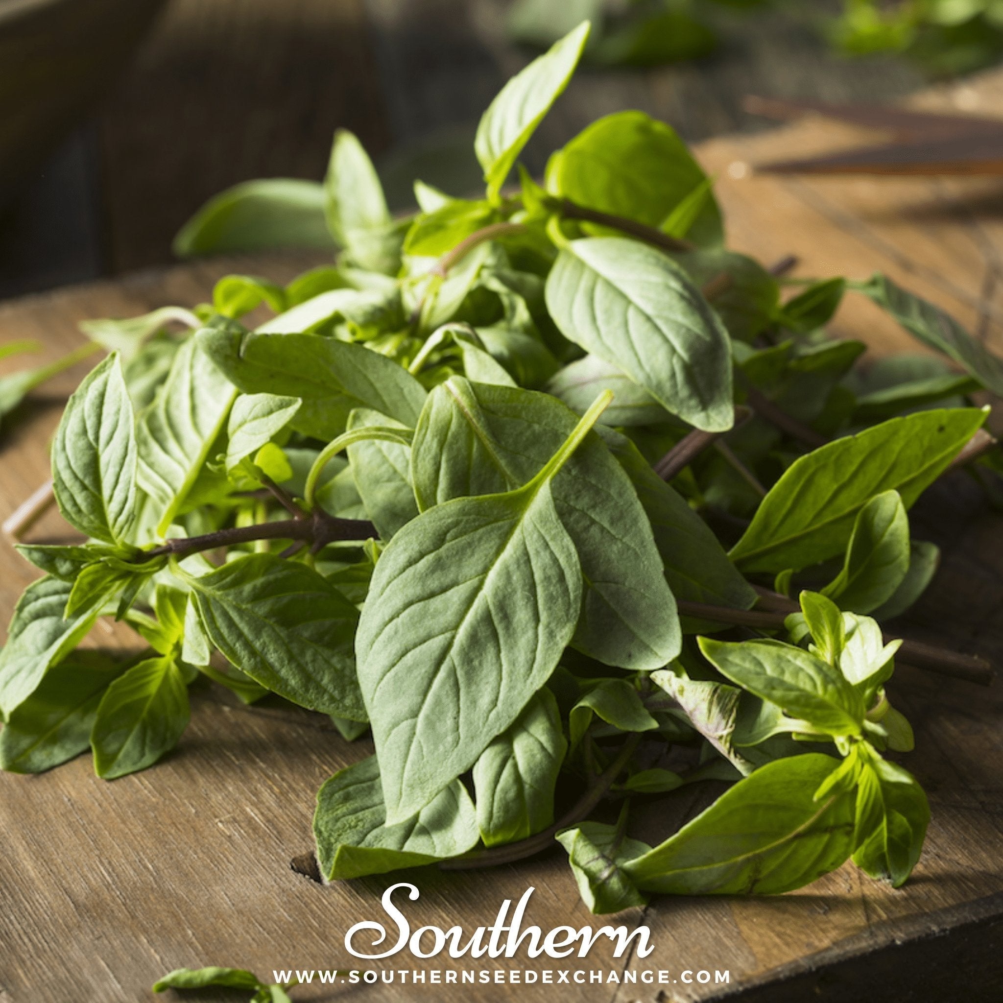 Thai Siam Queen Basil – 250 Seeds