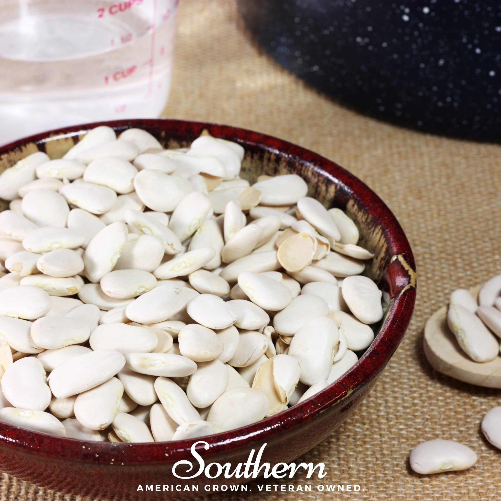 White Dixie Butterpeas Lima Bean (Bush) – 15 Seeds