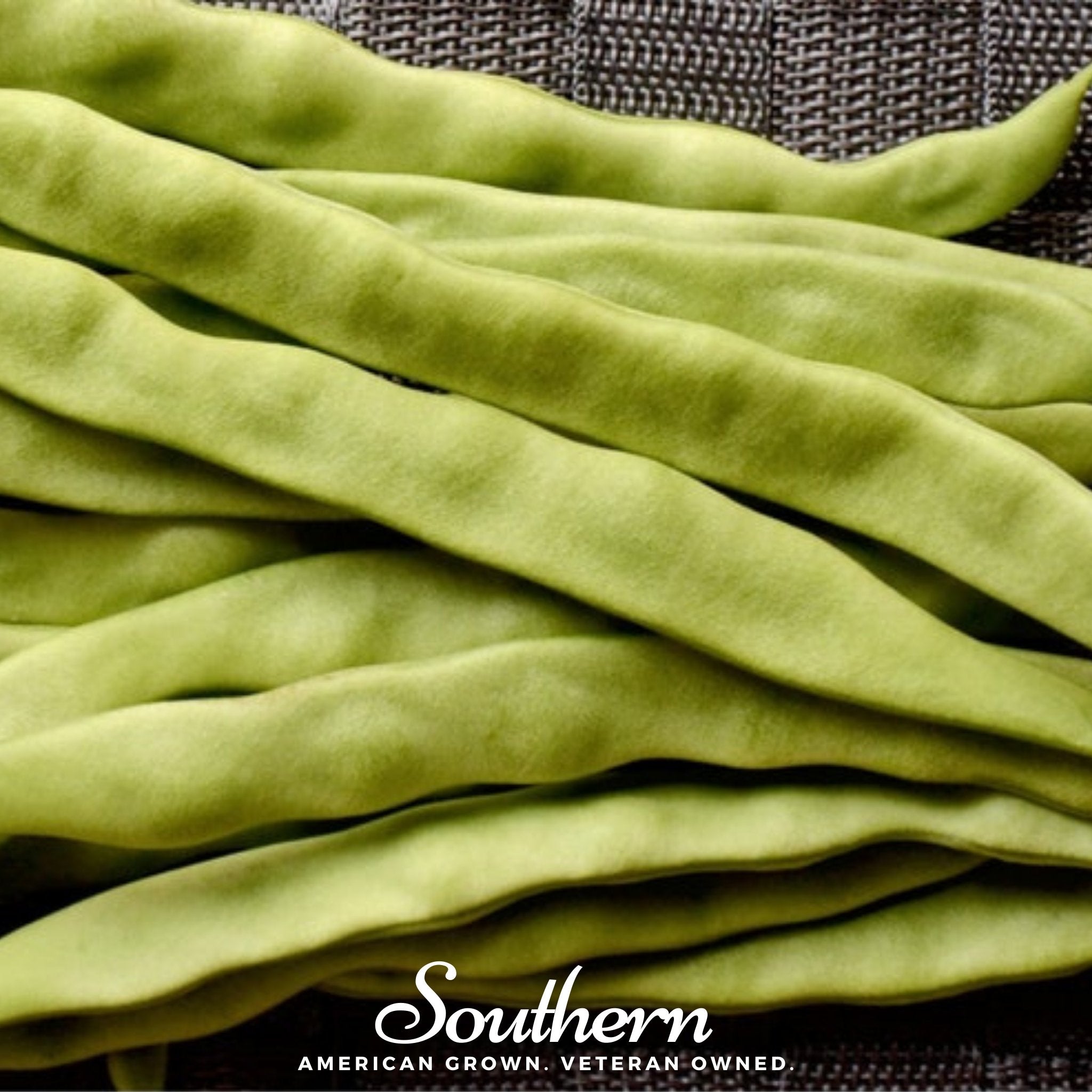 Roma II Bean (Bush Bean) – 30 Seeds