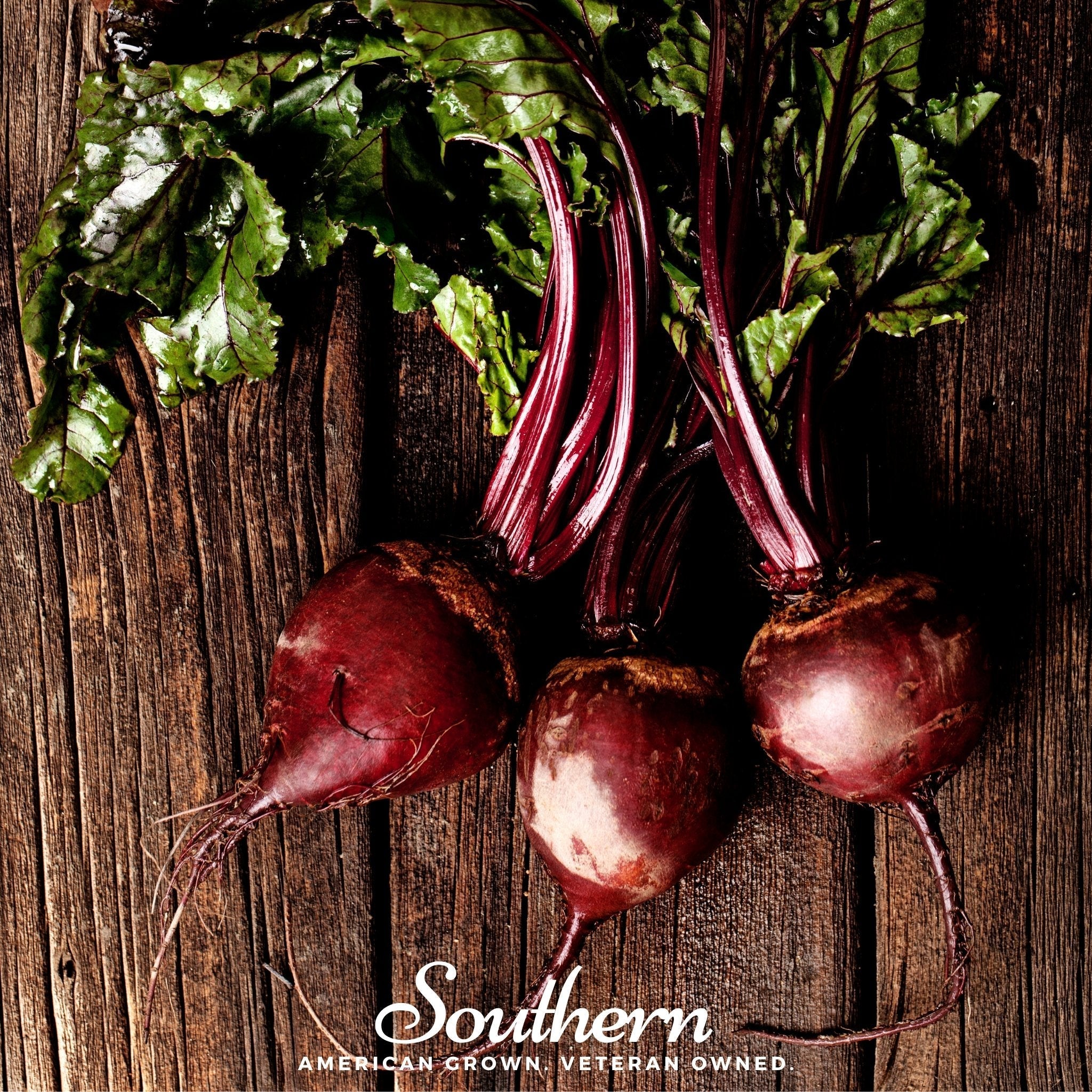 Detroit Dark Red Beet – 200 Seeds