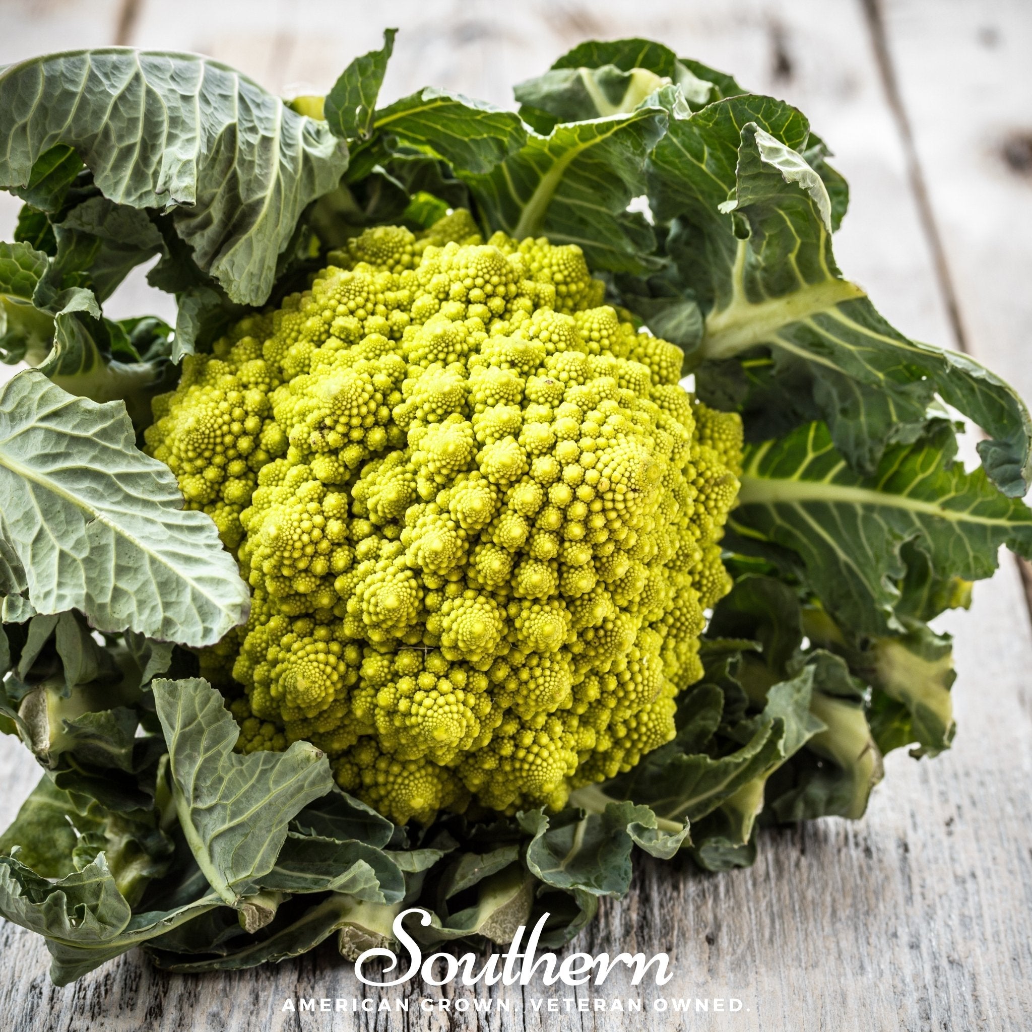 Romanesco Broccoli – 100 Seeds