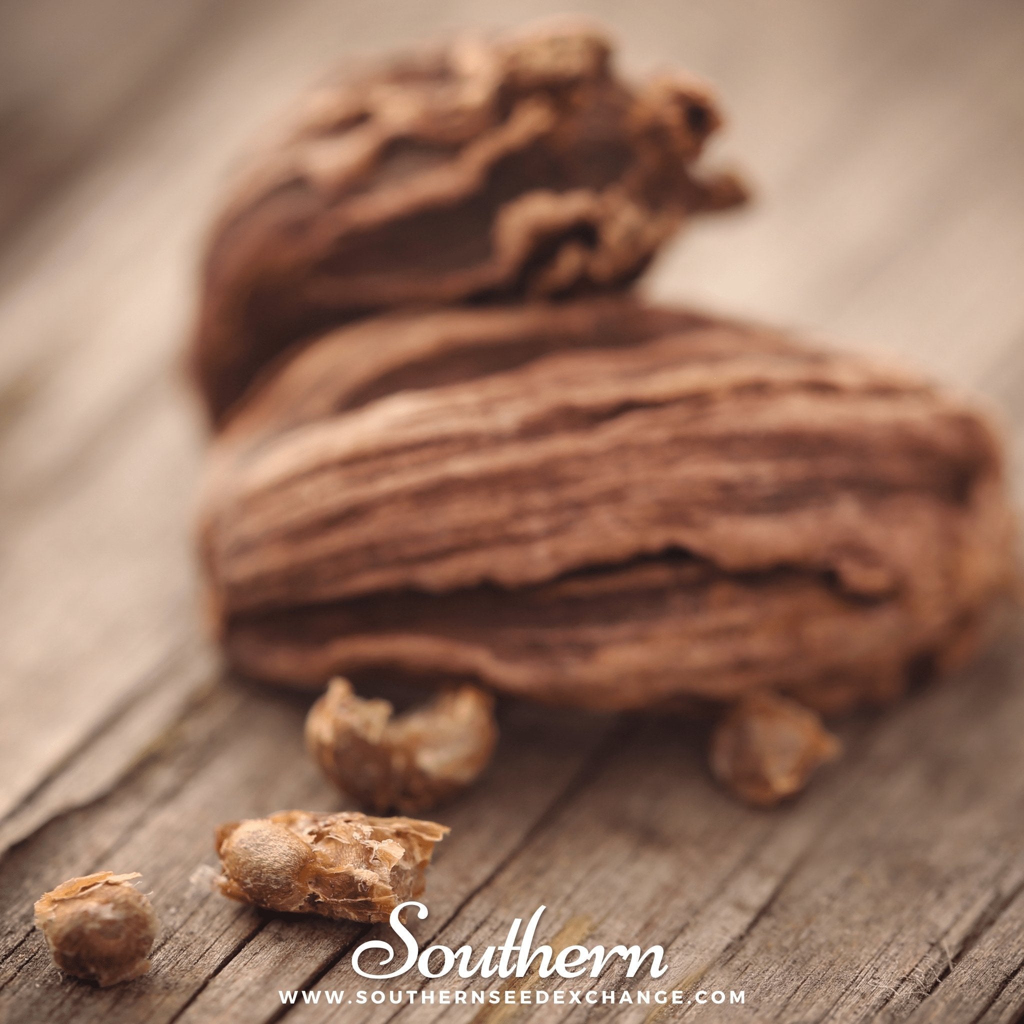 Black Cardamom – 10 Seeds