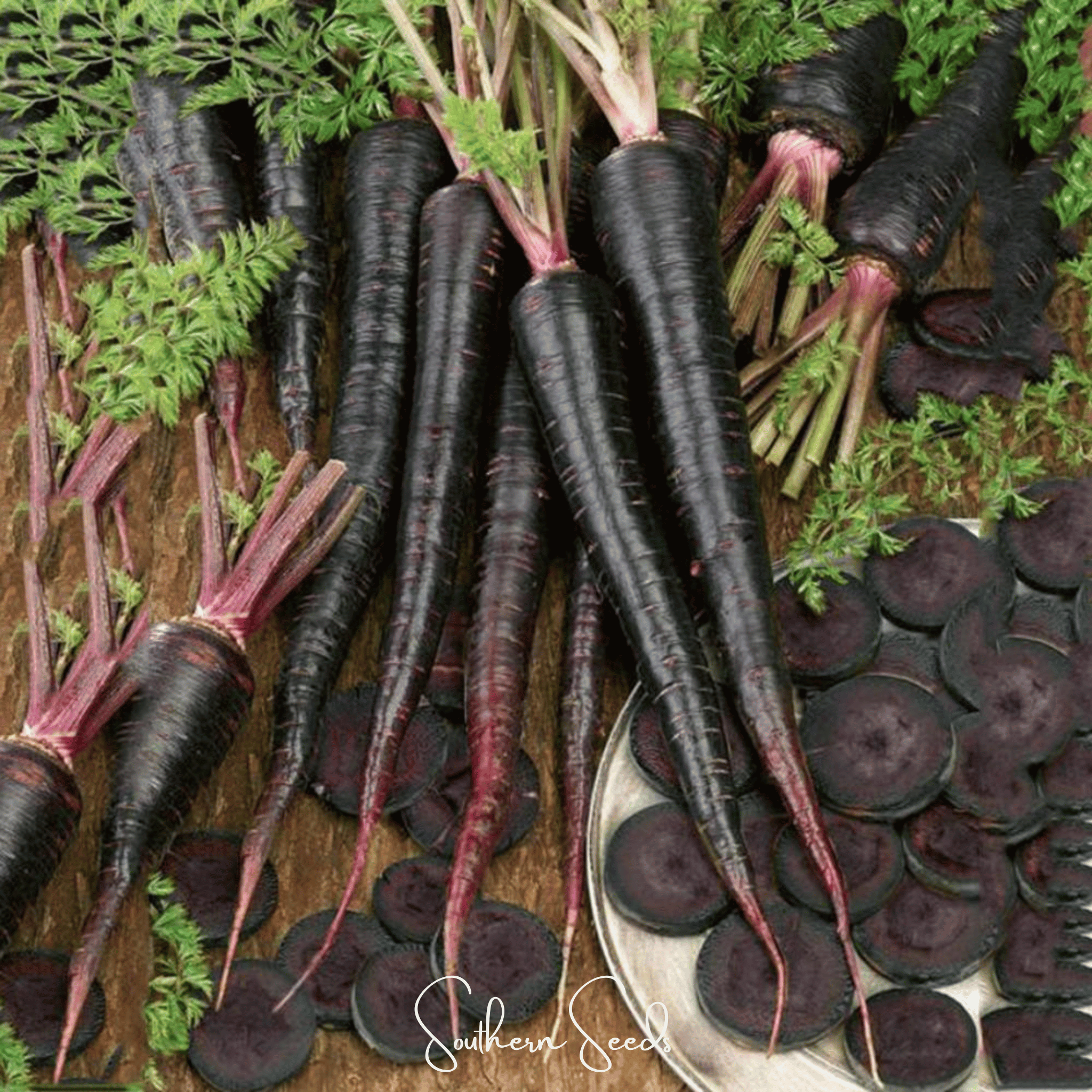 Black Nebula Carrot – 250 Seeds