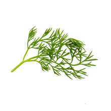 Load image into Gallery viewer, Olle Gardens Seedlings Herb Bundle
