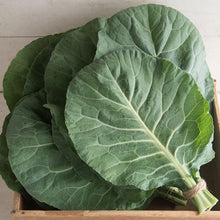 Load image into Gallery viewer, Olle Garden Seedlings - Greens Mix (Spring)

