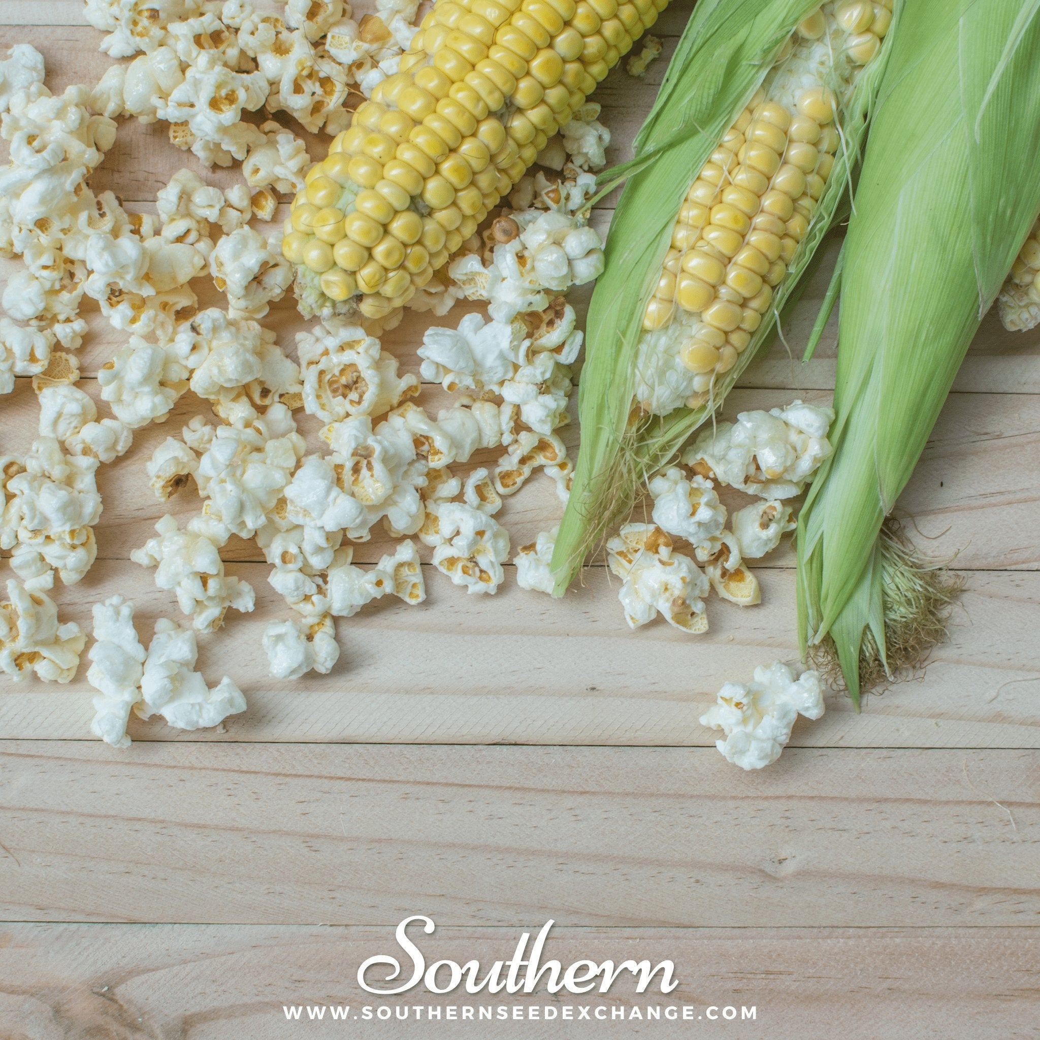 Popcorn Corn – 30 Seeds
