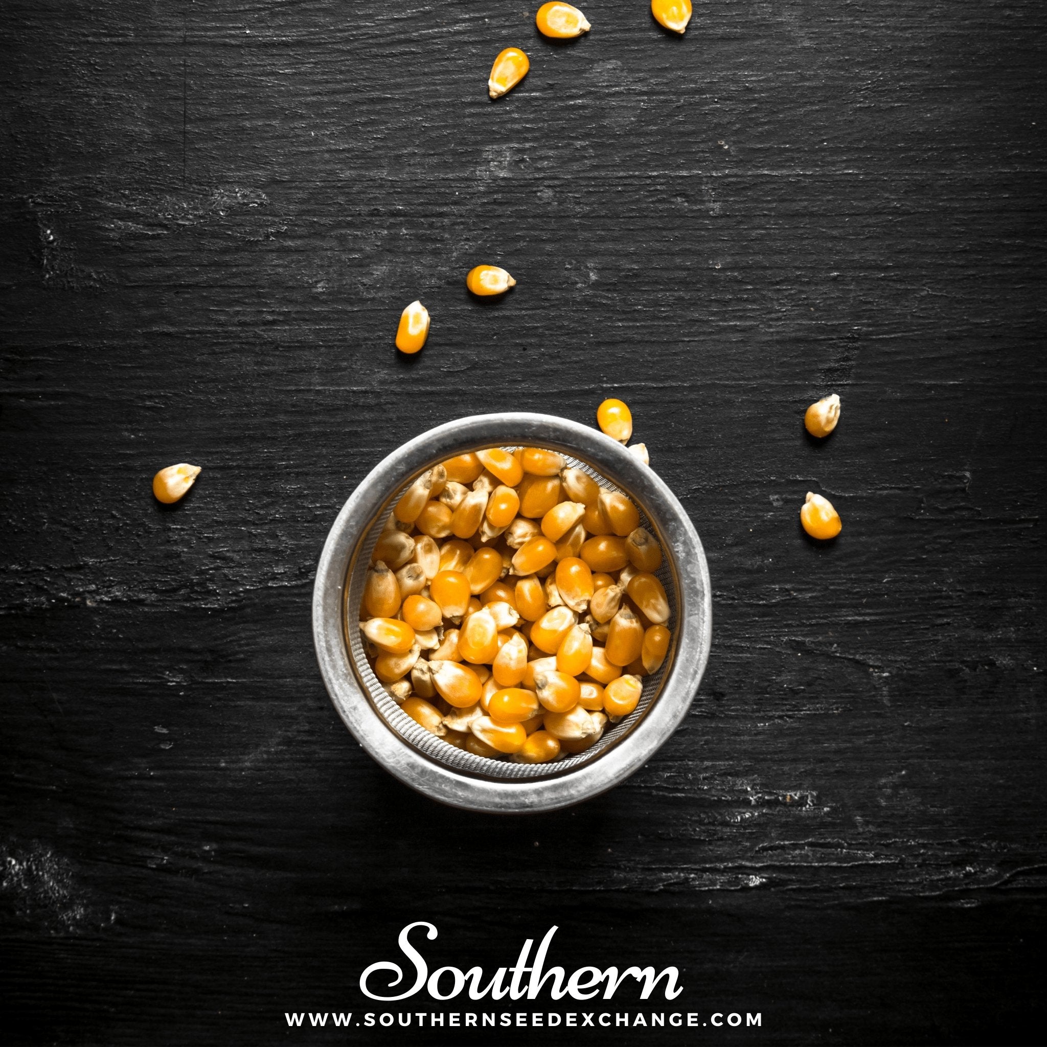 Popcorn Corn – 30 Seeds