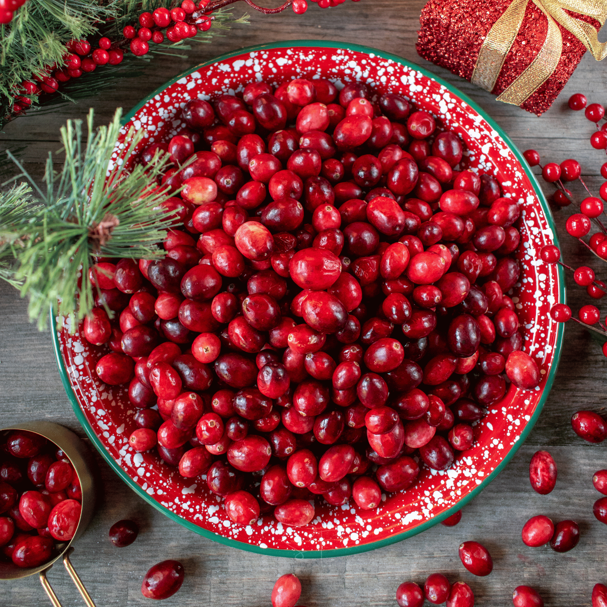 Cranberry, American – 50 Seeds