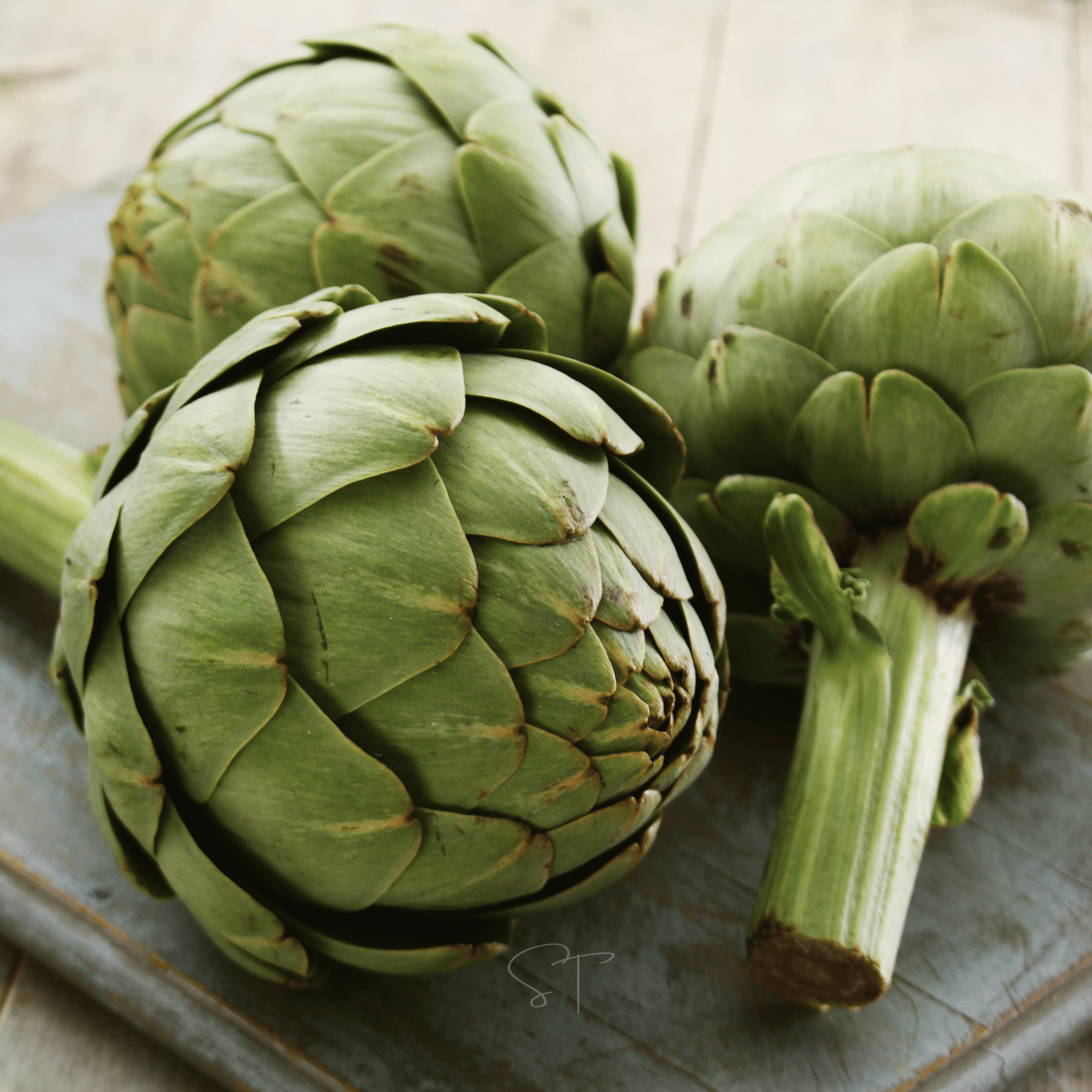 Green Globe Artichoke – 25 Seeds