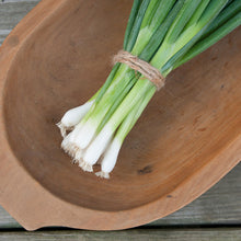 Load image into Gallery viewer, Olle Garden Seedlings - Herb Mix (Spring)
