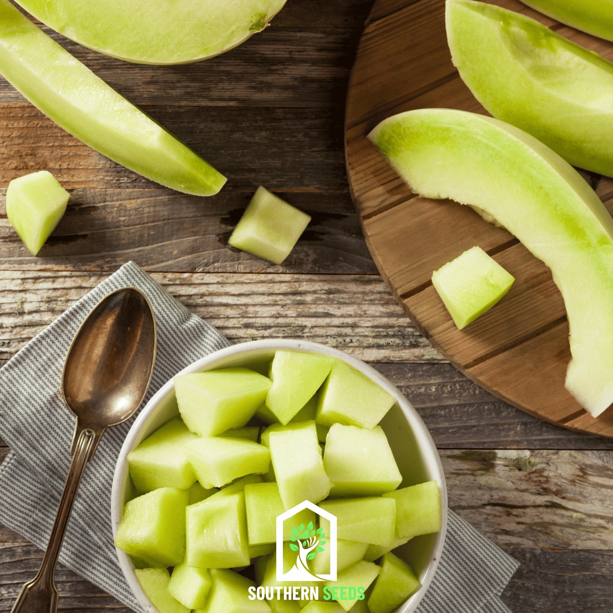Melon Seed Collection (Watermelon • Cantaloupe • Honeydew)