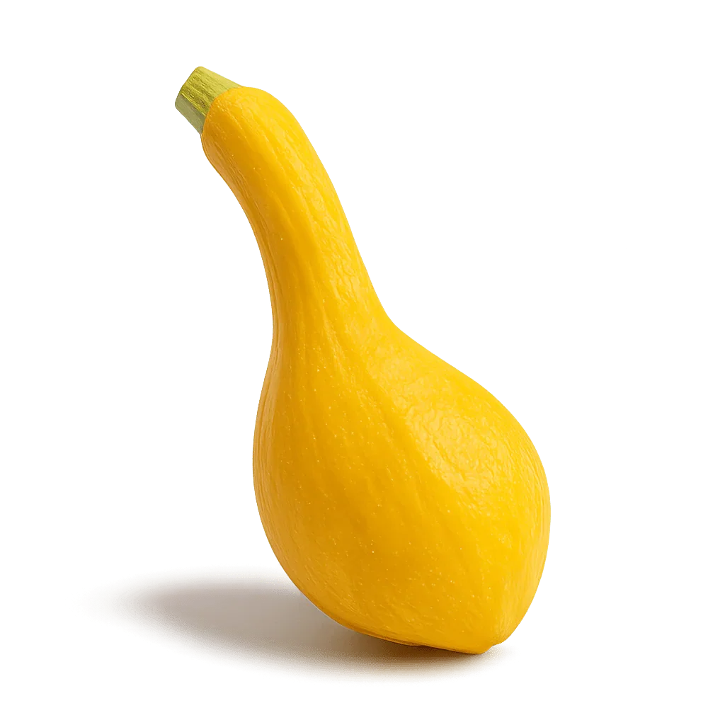 Olle Seedlings Cucurbit Bundle - Ollegardens