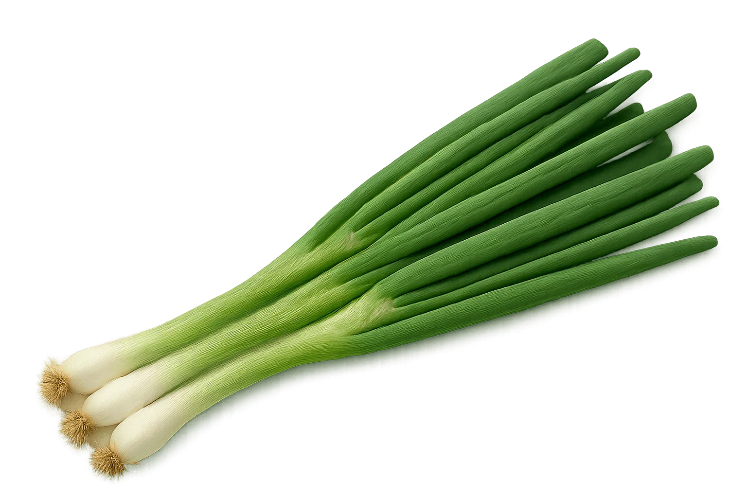 Olle Seedlings Farmers Bundle - Ollegardens