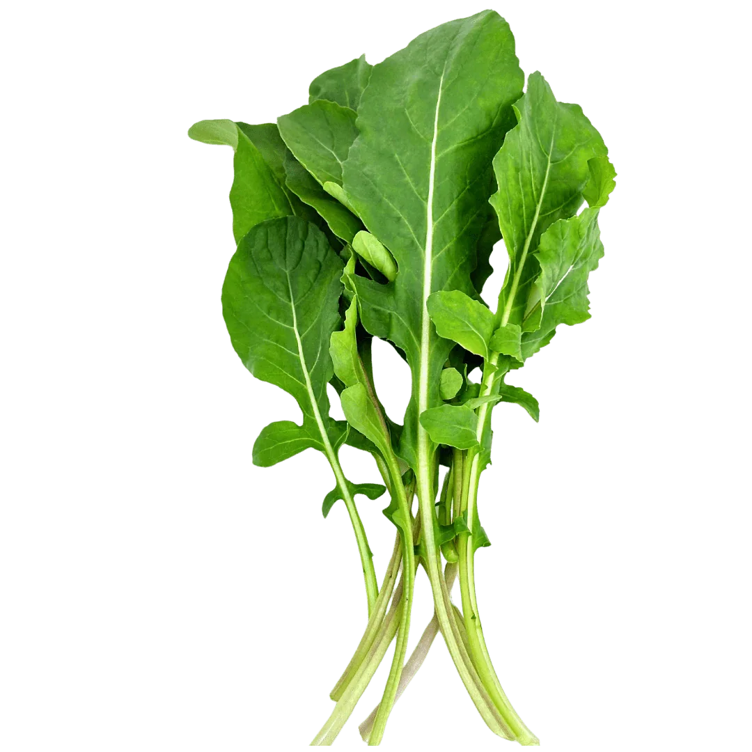 Olle Seedlings Greens Bundle - Ollegardens