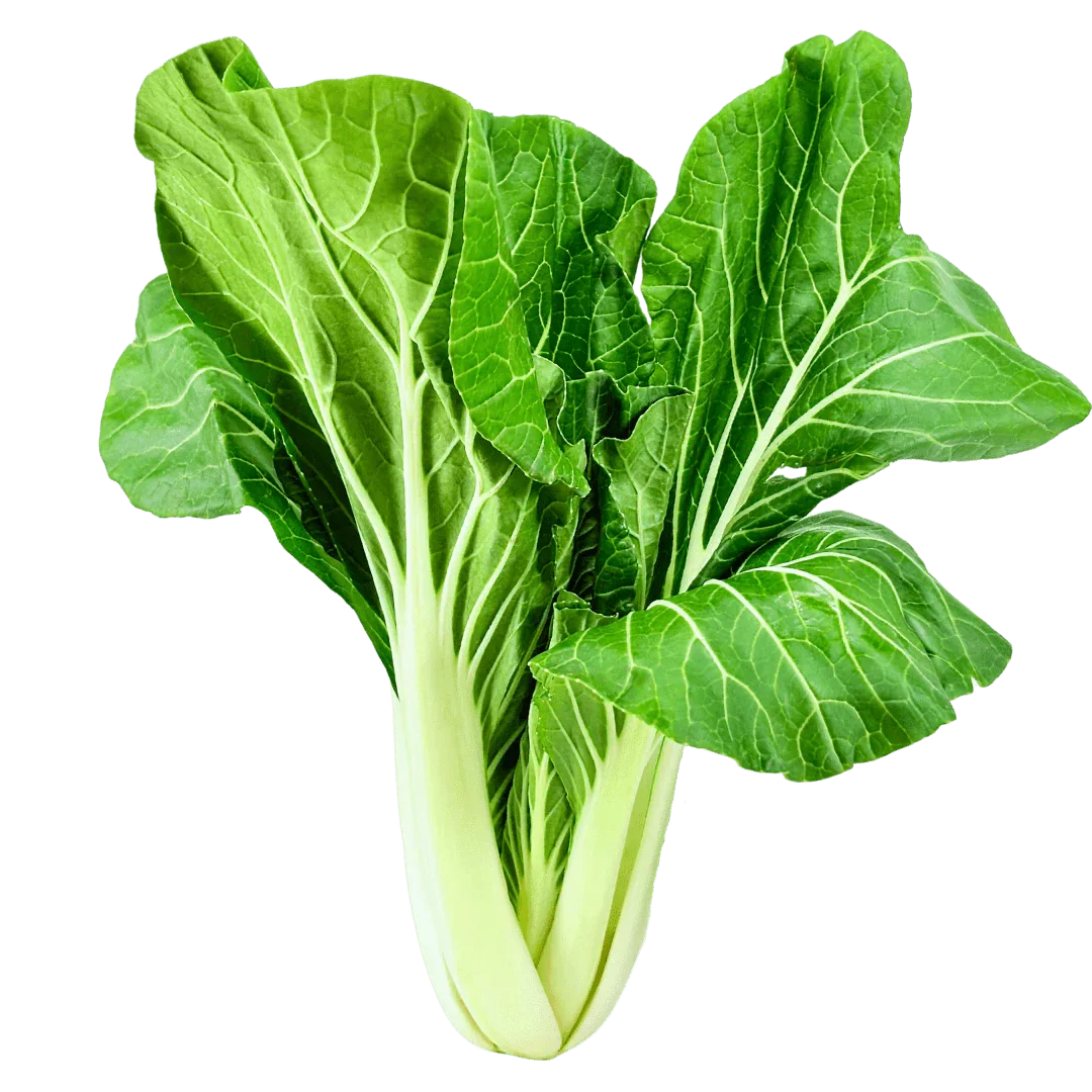 Olle Seedlings Greens Bundle - Ollegardens