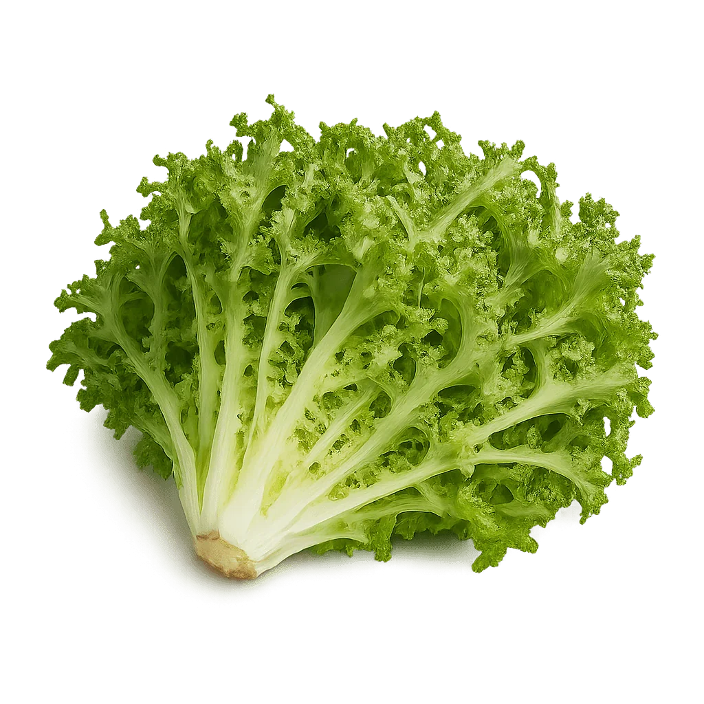 Olle Seedlings Greens Bundle - Ollegardens