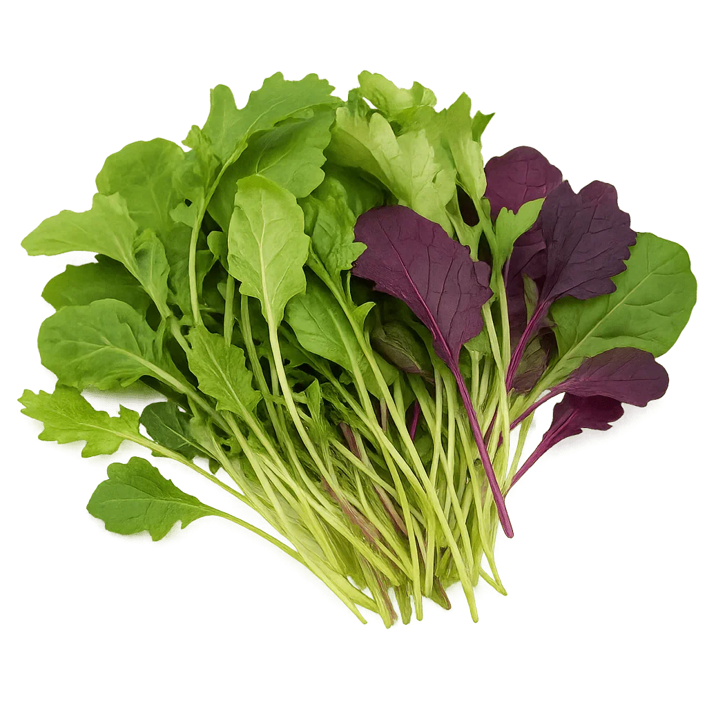 Olle Seedlings Greens Bundle - Ollegardens