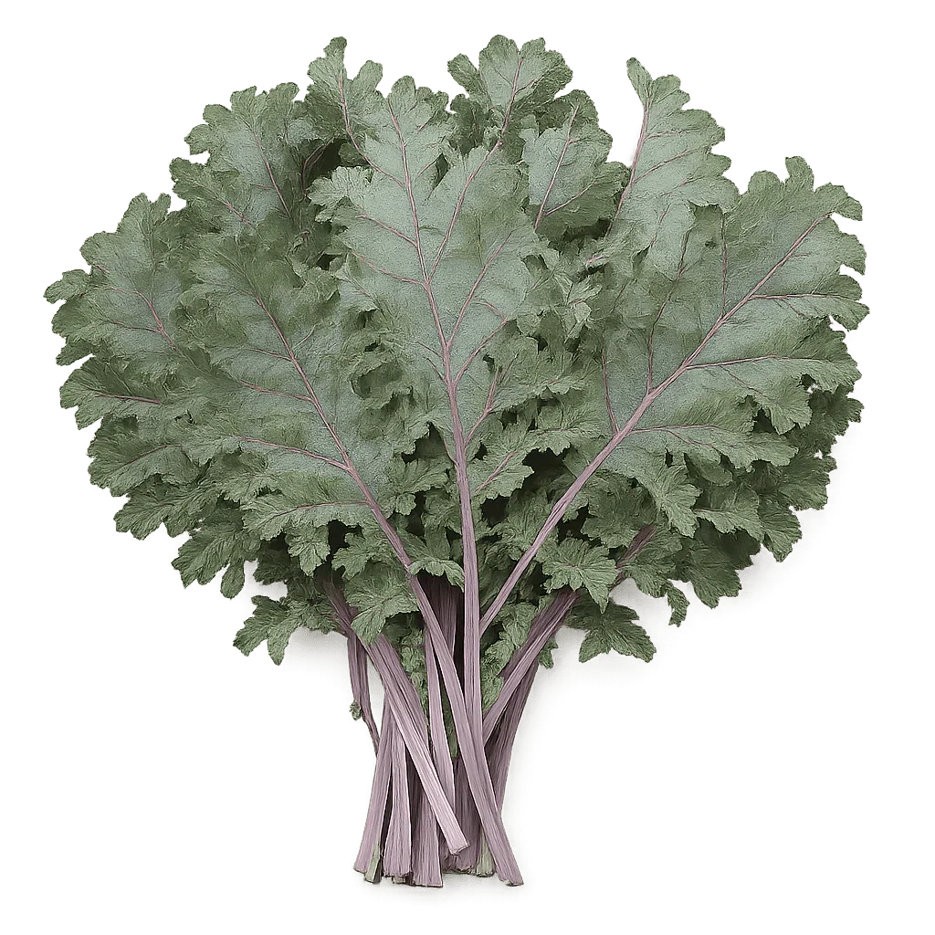 Olle Seedlings Greens Bundle - Ollegardens