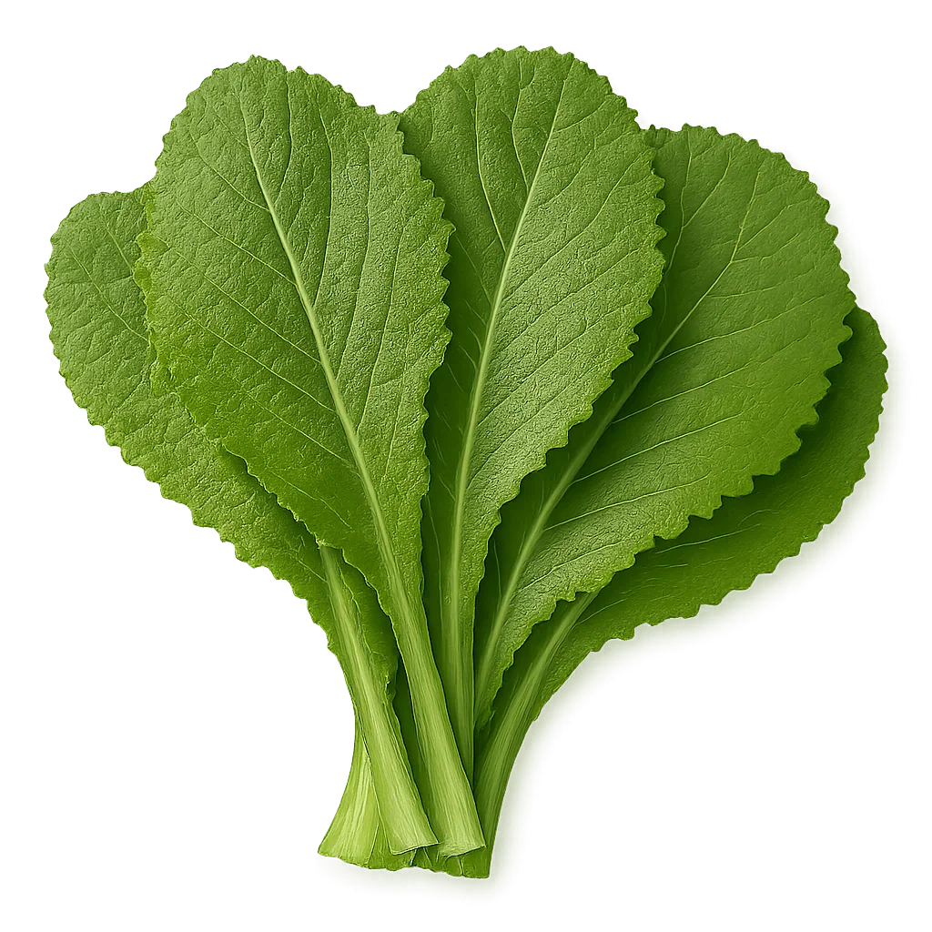 Olle Seedlings Greens Bundle - Ollegardens