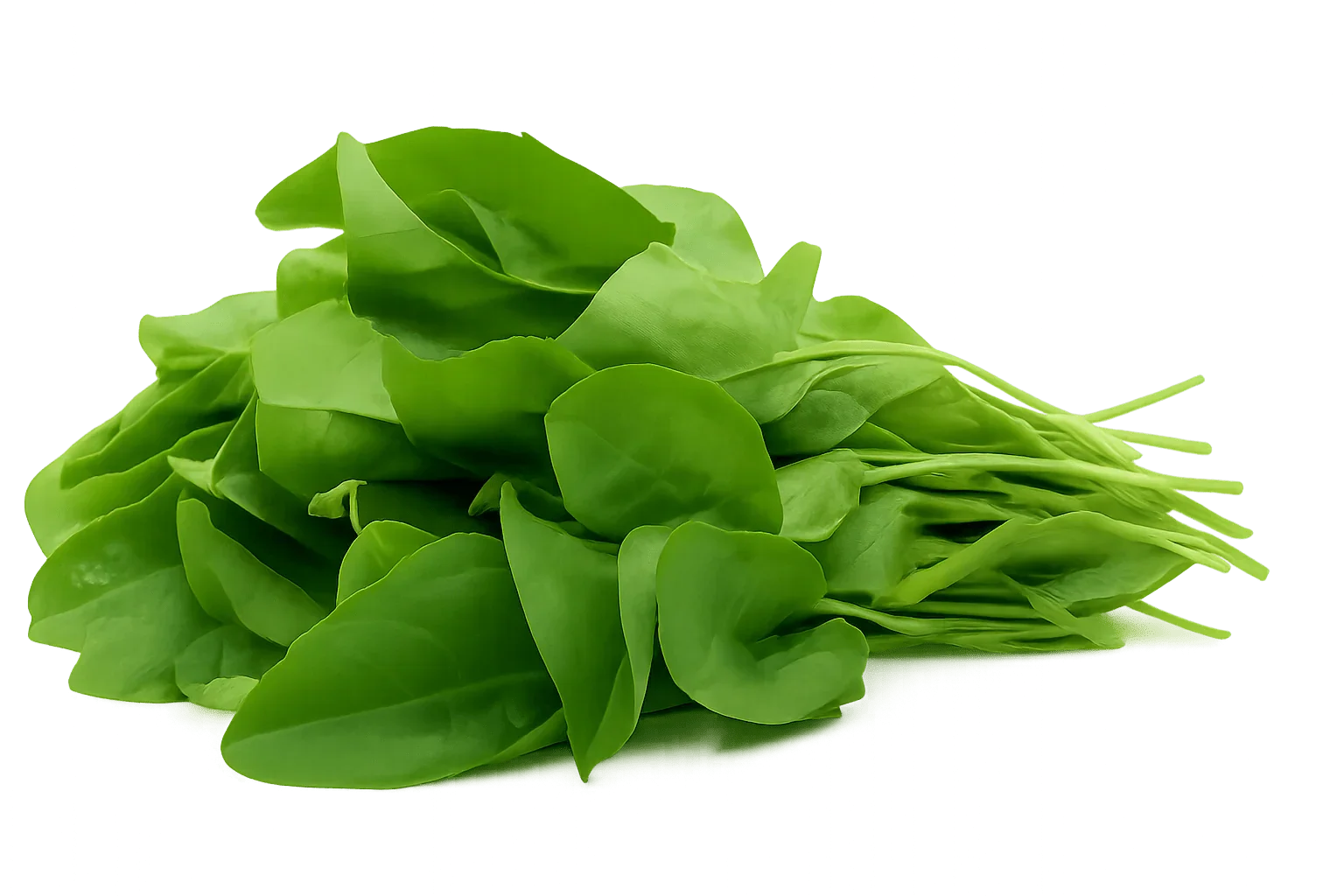 Olle Seedlings Greens Bundle - Ollegardens