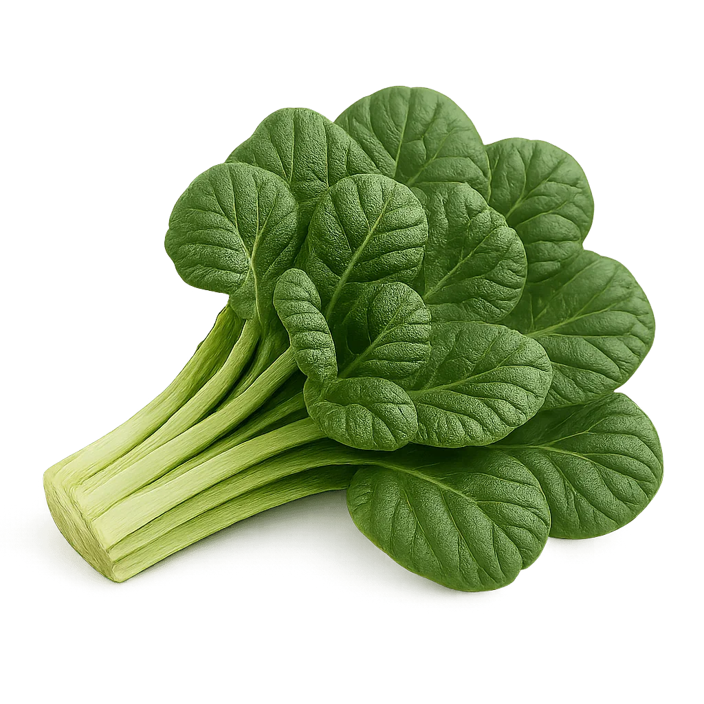 Olle Seedlings Greens Bundle - Ollegardens