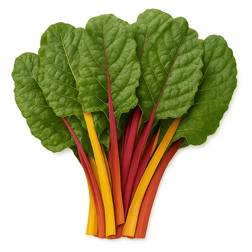 Olle Seedlings Greens Bundle - Ollegardens