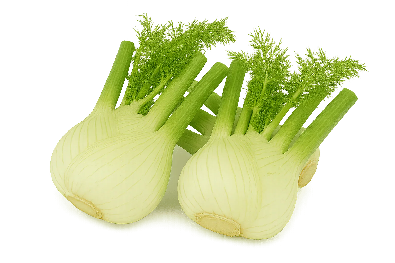 Olle Seedlings Herb Bundle - Ollegardens