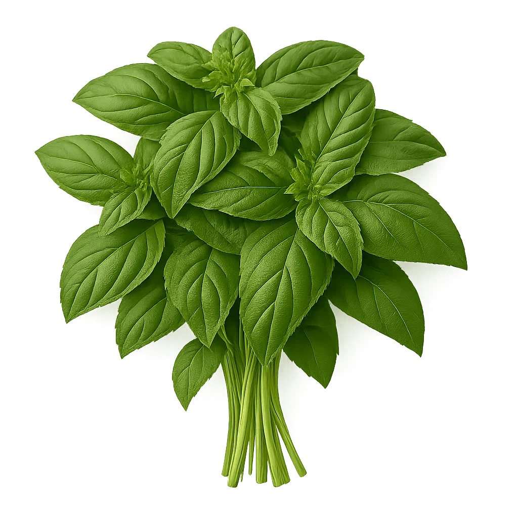 Olle Seedlings Herb Bundle - Ollegardens
