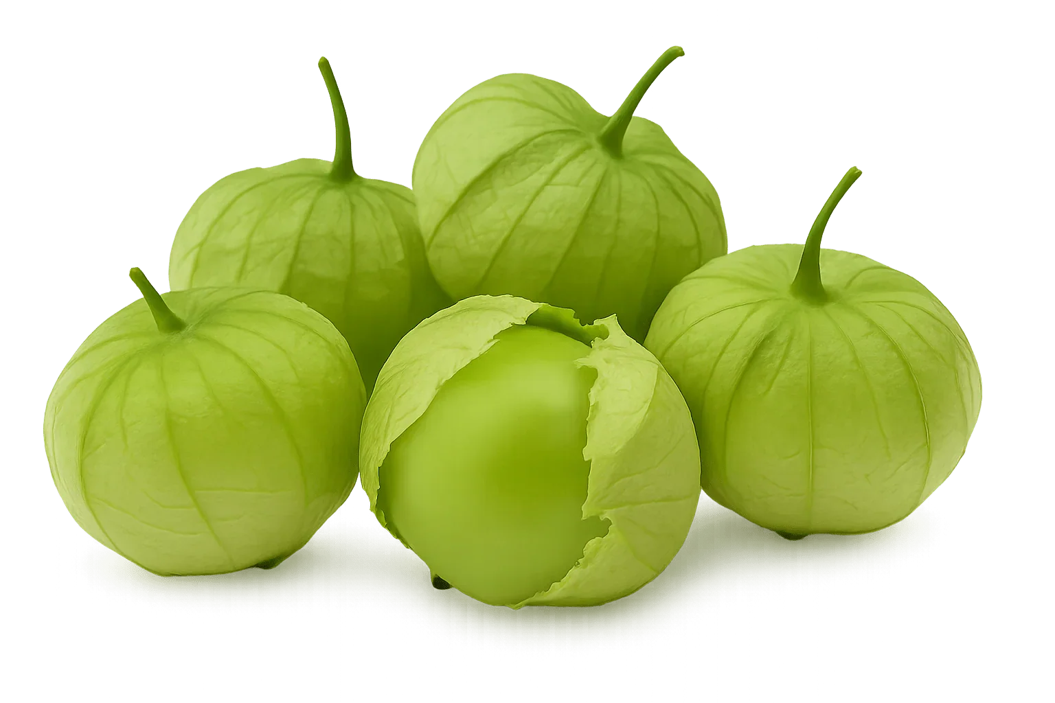 Olle Seedlings Nightshade Bundle - Ollegardens