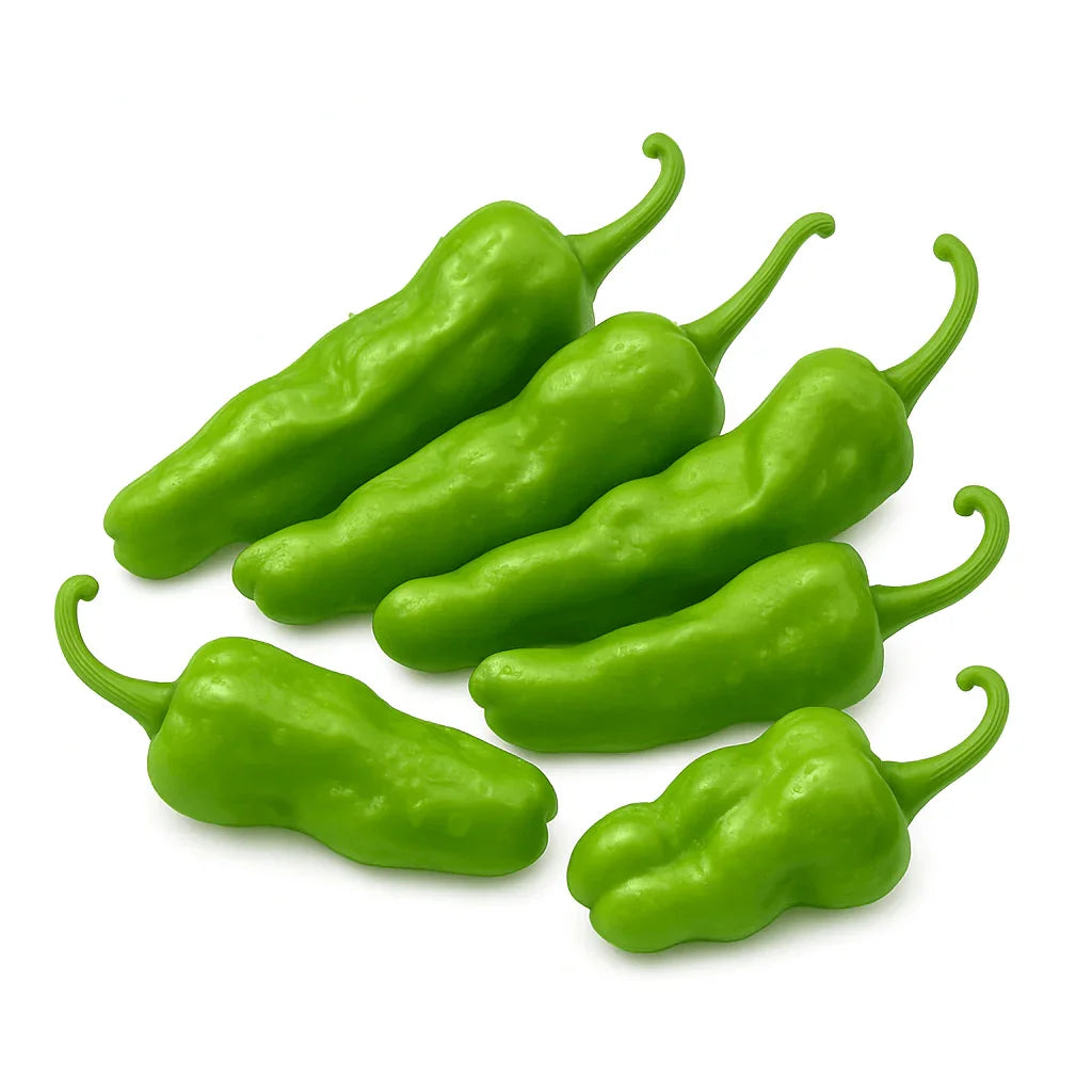 Olle Seedlings Nightshade Bundle - Ollegardens