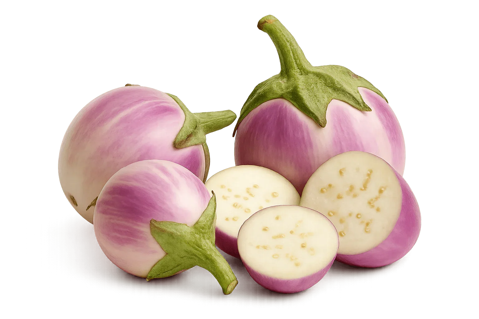 Olle Seedlings Nightshade Bundle - Ollegardens