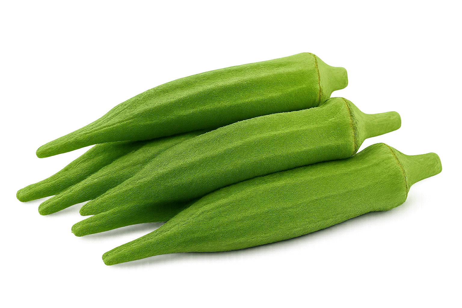 Olle Seedlings Veggie Bundle - Ollegardens