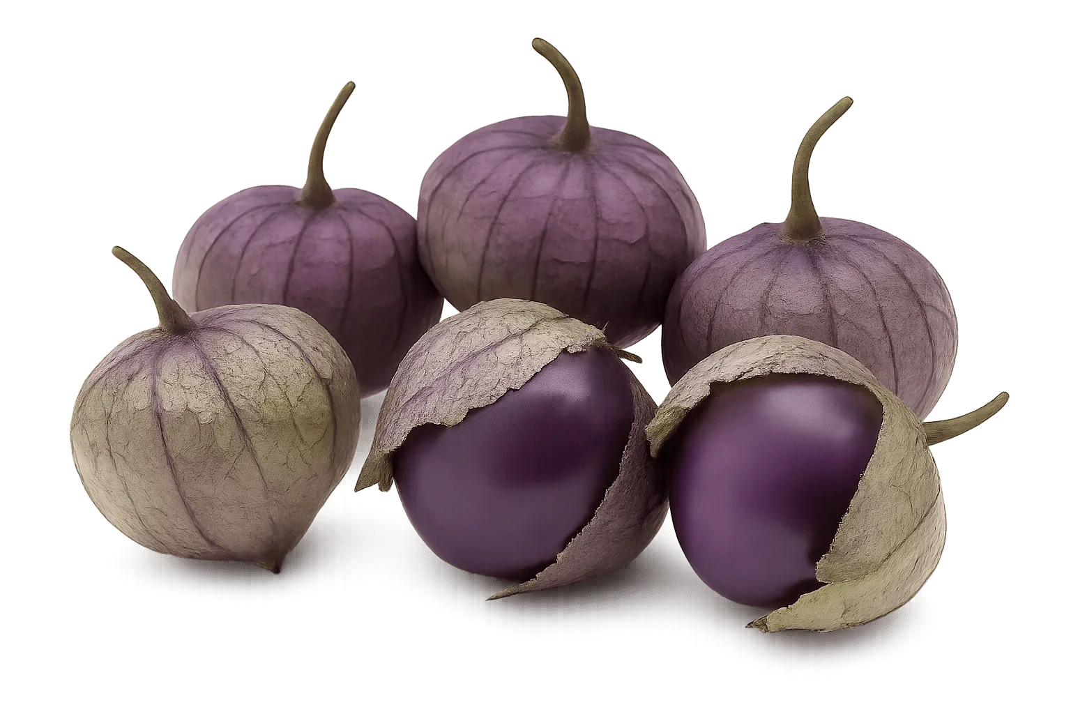 Olle Seedlings Veggie Bundle - Ollegardens