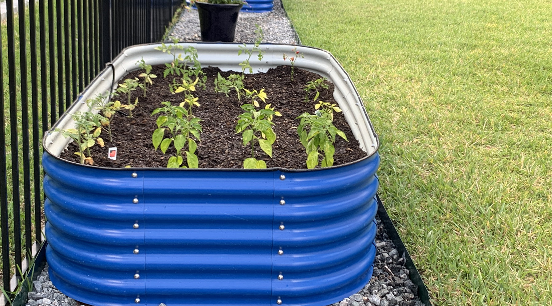17'' Tall Olle Gardens 12-in-1 Raised Bed, in Cobalt Blue