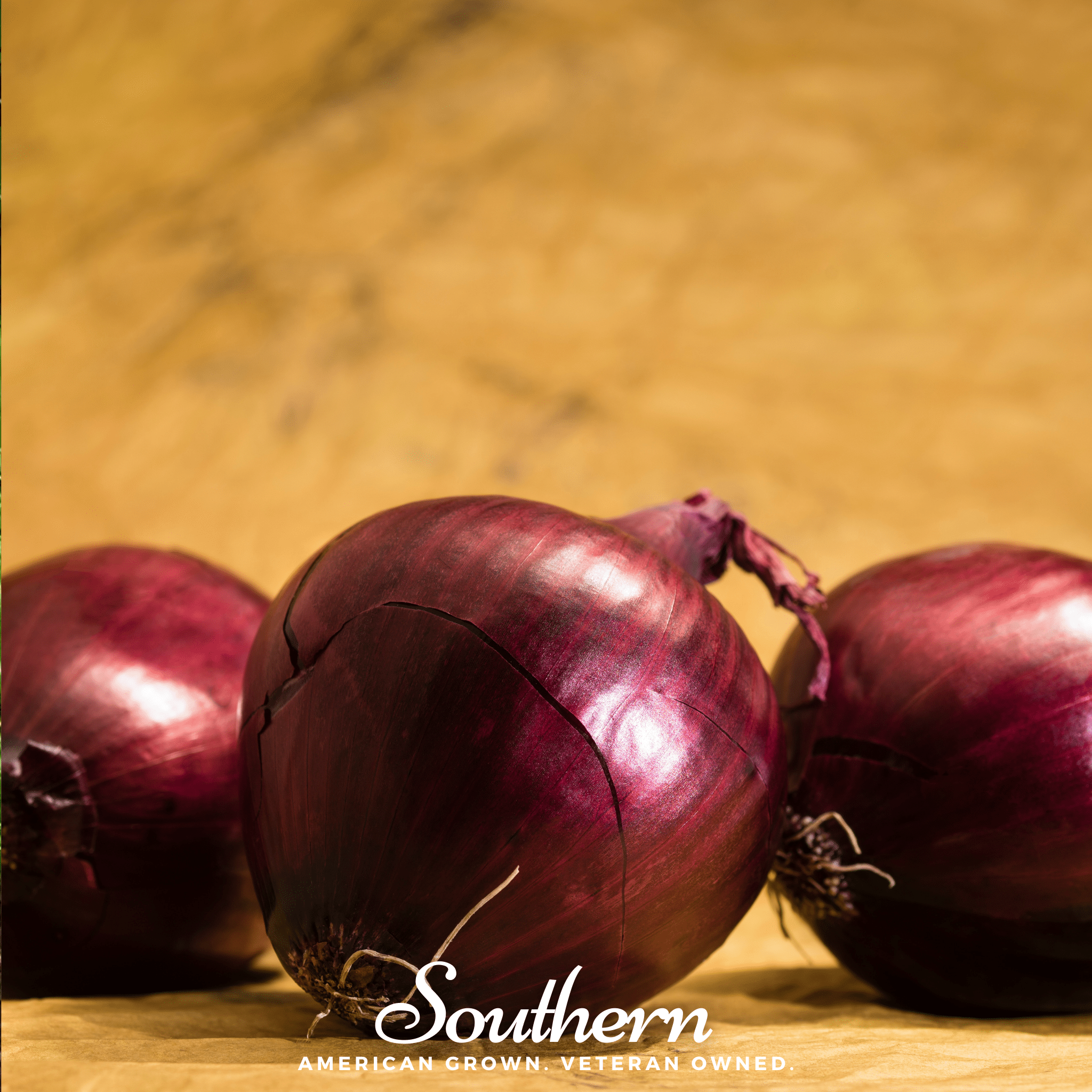 Red Burgundy Onion – 200 Seeds