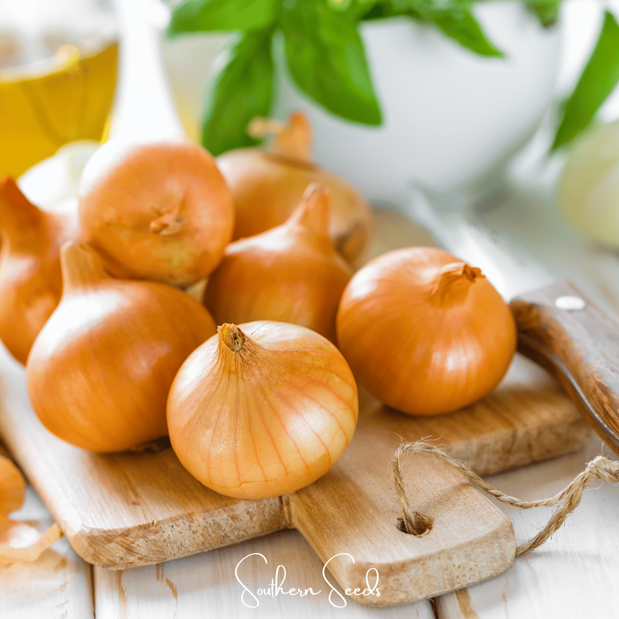 Texas Grano Early Onion – 200 Seeds